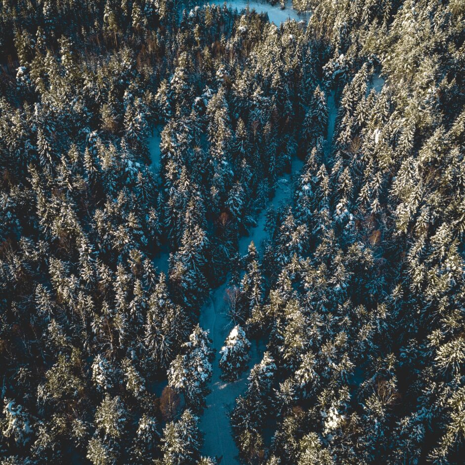 oslo skog